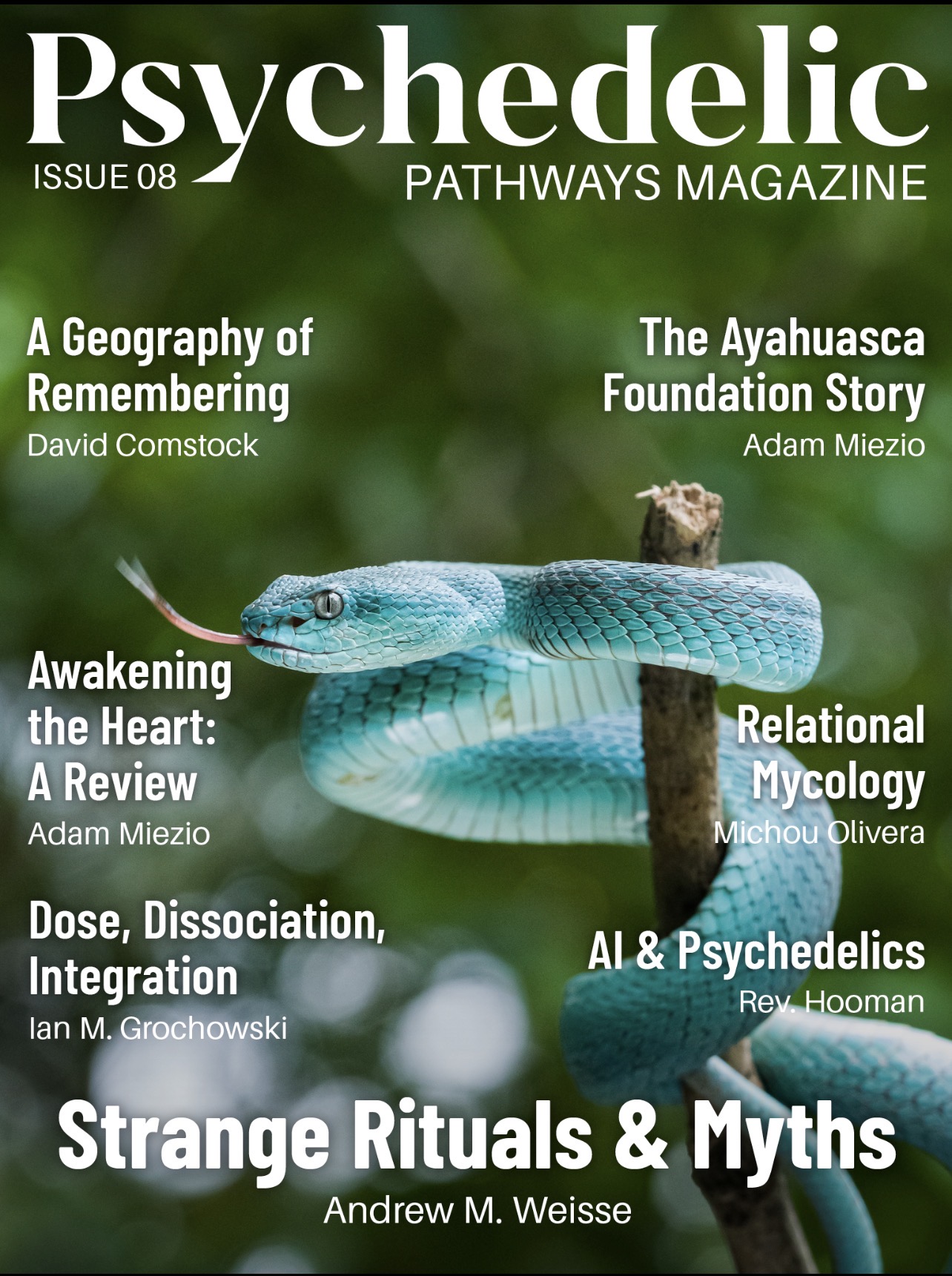 Psychedelic Pathways Magazine Issue 08 cover featuring Relational Mycology by Michou Olivera